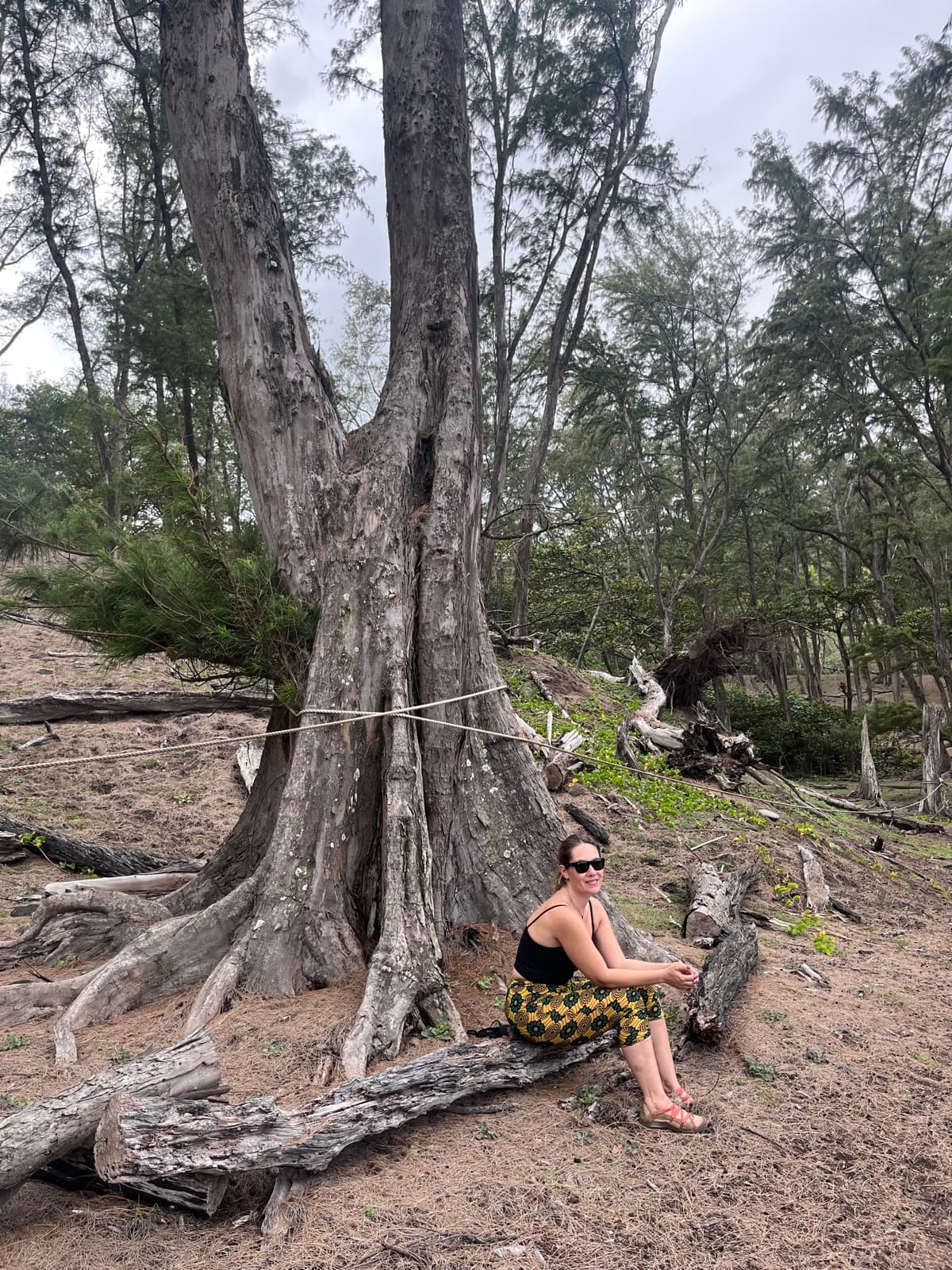 Healing the root, not the symptom